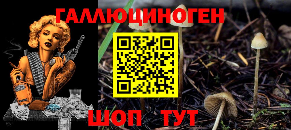 Псилоцибиновые грибы мухоморы Балаково