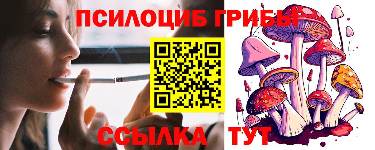 Псилоцибиновые грибы Psilocybine cubensis  Вход с VPN  Балаково 